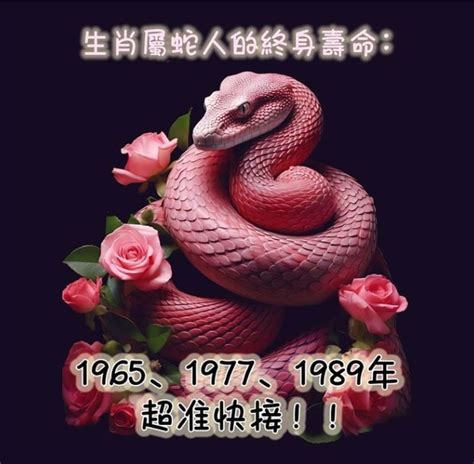 1977年屬什麼生肖|關於1977年「生肖屬蛇人」，這一生命運如何？